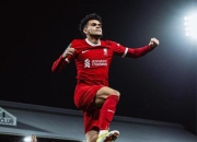 开云体育官网-利物浦击败富勒姆，豪取9分领先