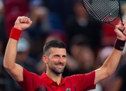 开云体育入口-联合杯翻盘美网，德约科维奇刷新纪录的简单介绍