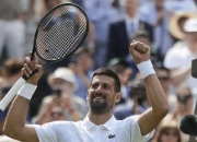 开云官方app入口-关于温网鏖战美网，德约科维奇状态火热的信息