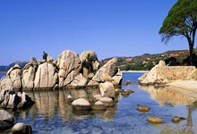 开云体育在线-热血篮球对决盛况，精英球员展凶猛的简单介绍