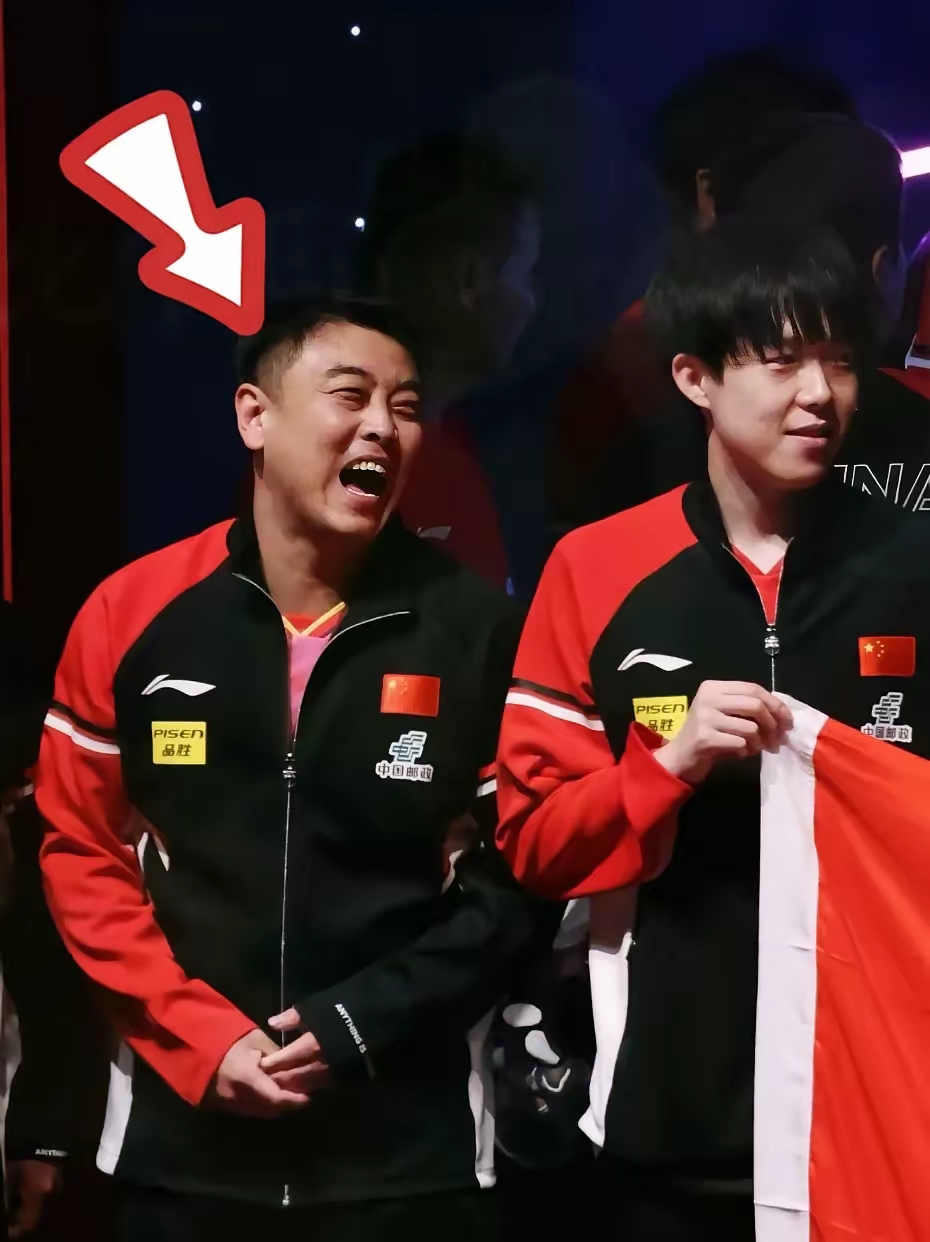比利时乒乓球队绝杀法国乒乓球队，王皓制霸全场的简单介绍
