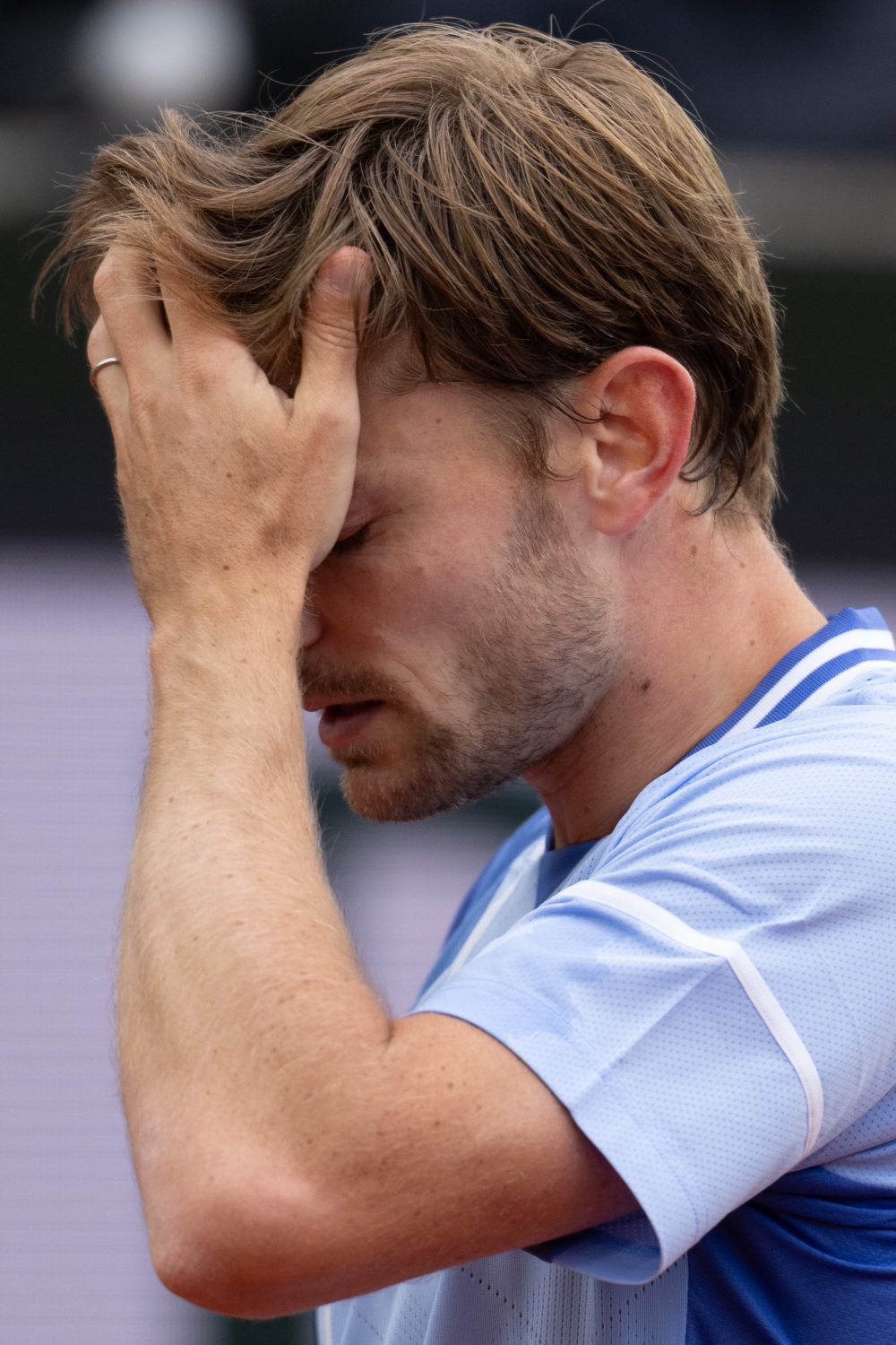 包含法国网球队绝杀美国网球队，兹维列夫打破历史纪录的词条