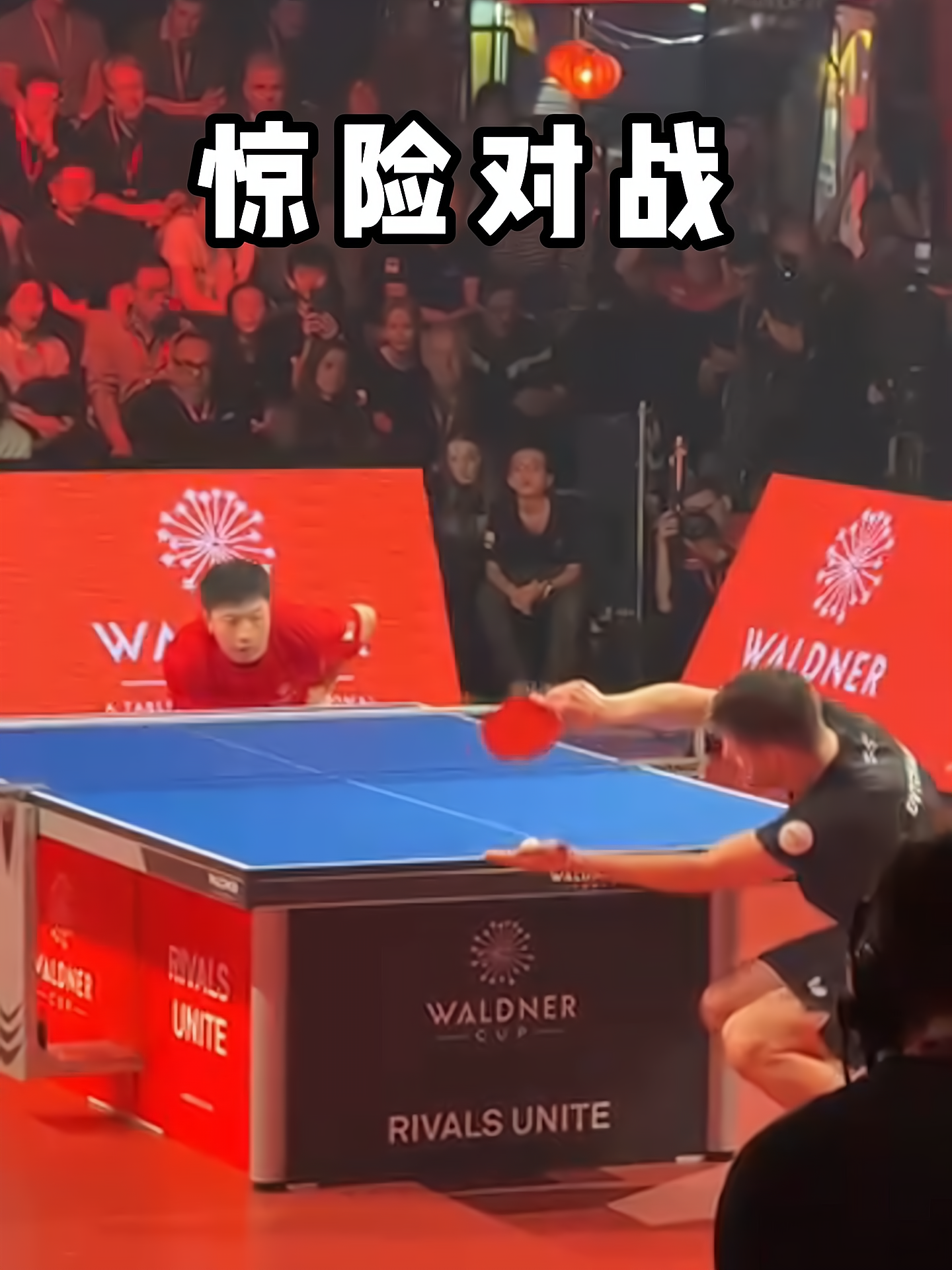 波兰乒乓球队轻取法国乒乓球队,奥恰洛夫爆发神勇的简单介绍 波兰乒乓球队轻取法国乒乓球队,奥恰洛夫爆发神勇的简单介绍