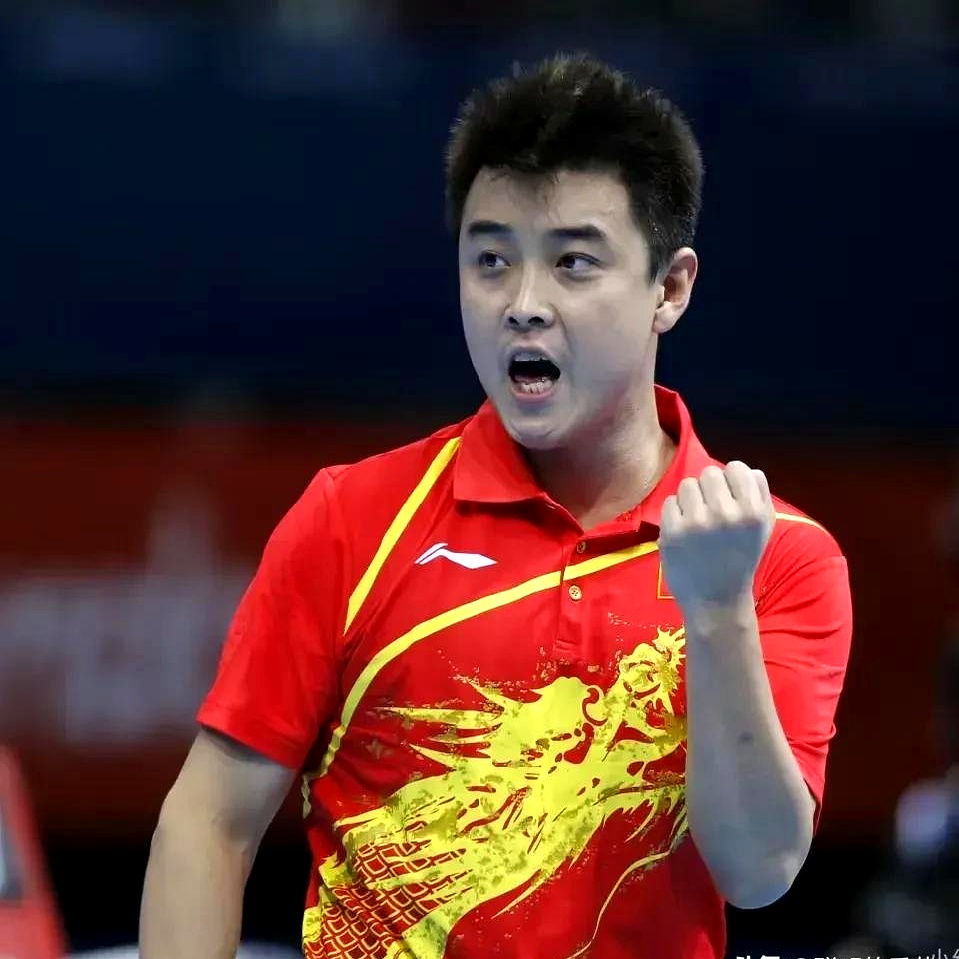 中国队险胜波兰队，王皓状态火热的简单介绍