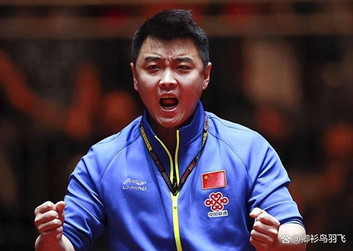 德国队逆转葡萄牙队，王皓惊艳四座的简单介绍